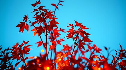 Autumn leaves falling in the sun with a colorful pattern of red, orange, and yellow leaves swirling in the wind among trees in a forest
