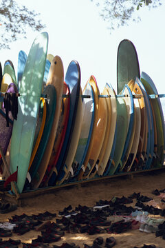Multicolored surfboards on board rack, rent boards on the beach