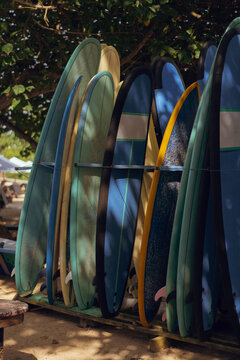 Multicolored surfboards on board rack, rent boards on the beach