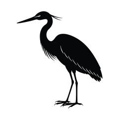 Egret Silhouette Vector Art and Black - White Egret Bird Illustration