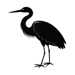 Egret Silhouette Vector Art and Black - White Egret Bird Illustration