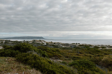 Naklejka premium Coastline with grass shore line and cloudy skies
