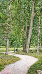 Obraz premium walking in the park