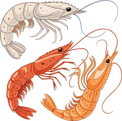 Prawns Seafood Vector Set Illustration for Culinary Design