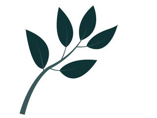 Obraz premium leaf, botanical, nature, plant, green, organic, fresh, environment, tropical, eco, natural, foliage, vector, icon, illustration