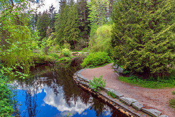 Resting place by the stream in Stanley Park, bench for rest on the bank under the shade of coniferous trees green forest and reflection of cloudy sky in water