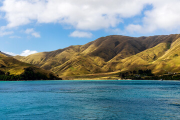 Golden Hills of the Marlborough Sounds