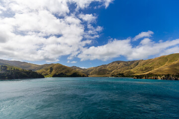 Golden Hills of the Marlborough Sounds