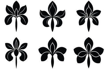 Elegant Black Silhouette Flowers, Isolated Floral Arrangement, Minimalist Botanical Motifs