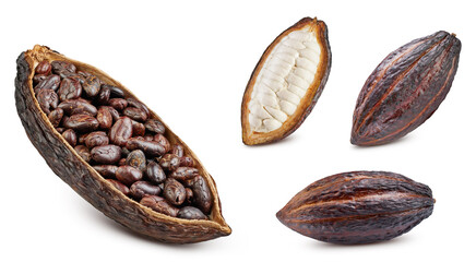 Cocoa isolated on white background