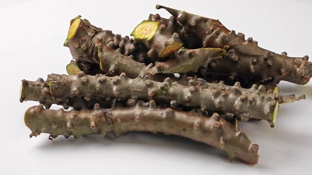 Fresh chopped Tinospora cordifolia herb.
