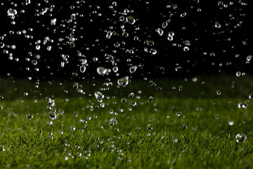 Rain water drop on green grass field over black background. Rain fall as droplet water shower on meadow lawn grass field, freeze high speed