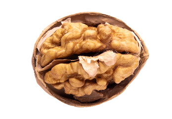 close-up of a walnut kernel in its shell.