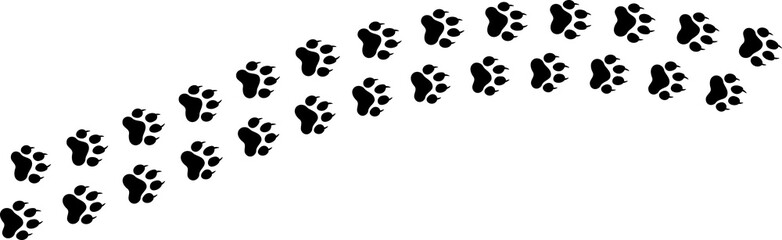 Paw vector foot trail print . Dog, cat, bear, wolf, chicken, cow, crocodile, donkey, duck, elephant and other silhouette animal. Paw print trail on transparent background.