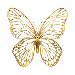 Golden Butterfly: Line Art, Vector Graphic