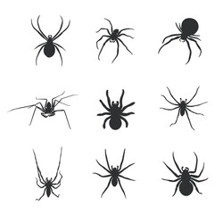 Set of black spider icons. Halloween spider icons. Spider silhouette collection