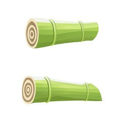 Hand-drawn bamboo plant and stalk pieces. Realistic bamboo vector set with stems and leaves. Bamboo stalk sections and green leaves clipart