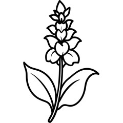  "Snapdragon Flower Vector - High-Quality Graphic Design for Creative Projects"
