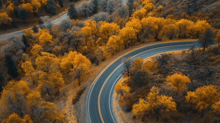 Naklejka premium Elevated view of a road winding through a vibrant forest in rich autumn colors