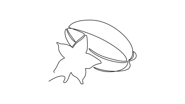 star fruit. Fruits concept. Single line draw design. Full length animation illustration. High quality 4k footage
