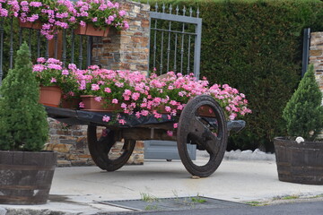 Fototapeta premium Carreta antigua decorada con flores en jardín rústico