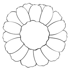 Coloring page Chamomile flowers Edible Flowers