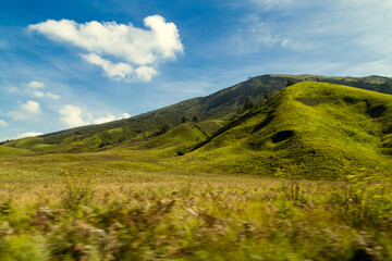 Obraz premium Green hill in Bromo Savannah, Indonesia