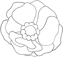 Coloring page Strawberry blossoms Edible Flowers