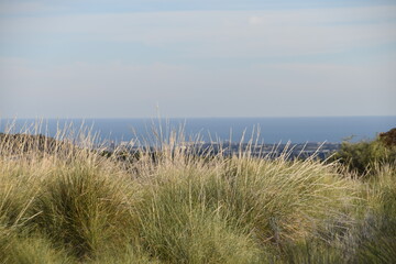Campo monta&ntilde;a secos