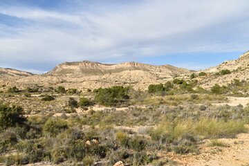 Campo montaña secos