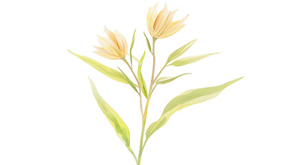 Naklejka premium Two yellow flowers with green stems