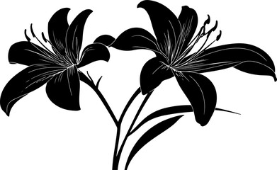 Stylized Black Lily Illustration floral desing