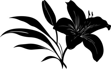Stylized Black Lily Illustration floral desing
