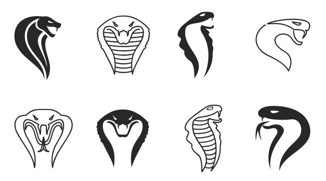  Agressive cobra vector illustration. editable