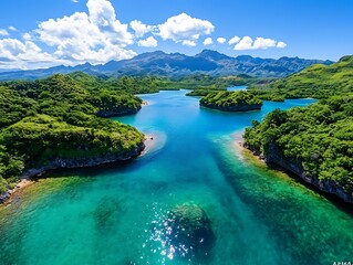 Tropical Island Bay Views