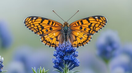 Obraz premium A detailed image showcases a butterfly perched on a purple flower