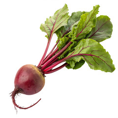 Beetroot with leaves isolated on transparent background png