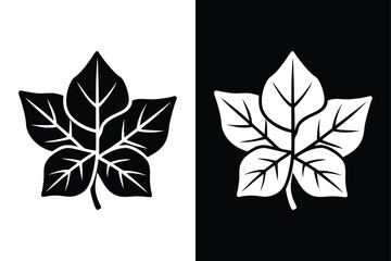 Obraz premium Crisp Ivy Leaf Silhouette. Black & White Vector PNG & SVG