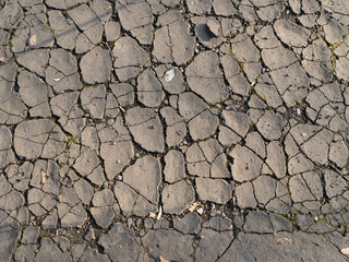 Close-up of cracked asphalt surface forming an irregular pattern. Urban decay texture ideal for backgrounds, design, or illustrating wear, time, and deterioration