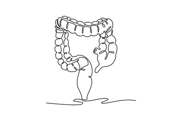 Large Intestine. parts of the body concept. Single line draw design. Vector graphic illustration