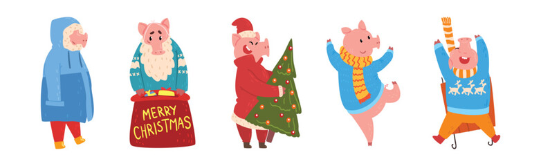 Funny Pig Character in Warm Clothing at Winter Holiday Vector Set