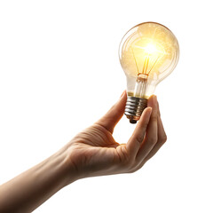 hand holding light bulb