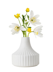 Small bouquet of wild anemones and wild ranunculus flowers in a ceramic vase isolated on white or transparent background