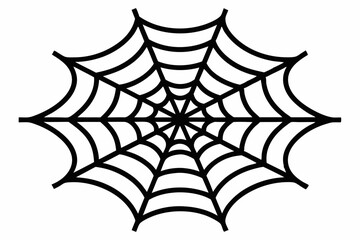 vector illustration of a spider