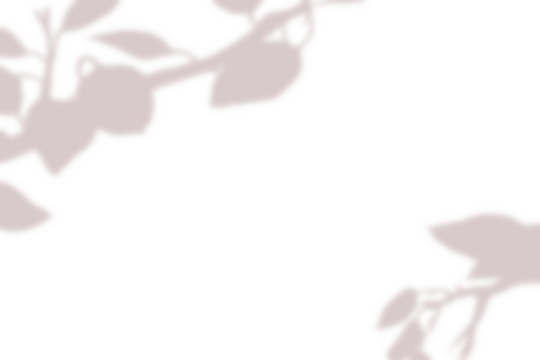 Realistic blurred leaf shadow effect isolated on transparent background. blur branch leaves shadow. Plant foliage silhouette. Nature design element for spring summer, mockup for product presentation