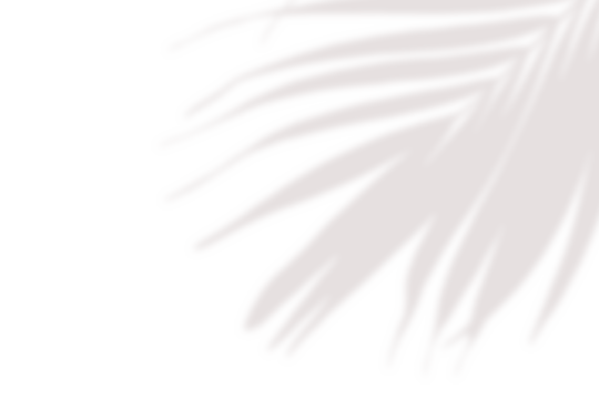 Realistic palm tree shadow on white background. Tropical palm tree branch leaf shadow silhouette, Nature light decoration overlay effect. Spring summer product decoration design elements, PNG