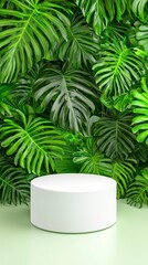 Elegant plant with a white base displayed on a podium in a tropical forest setting for artistic product presentation