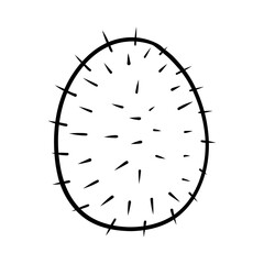 Rambutan © Wimonsiri