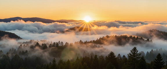 Misty valley at sunrise with fog and golden light, ethereal beauty
