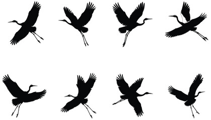 Crane Bird Vector Shilhouette Bundle Set Collection